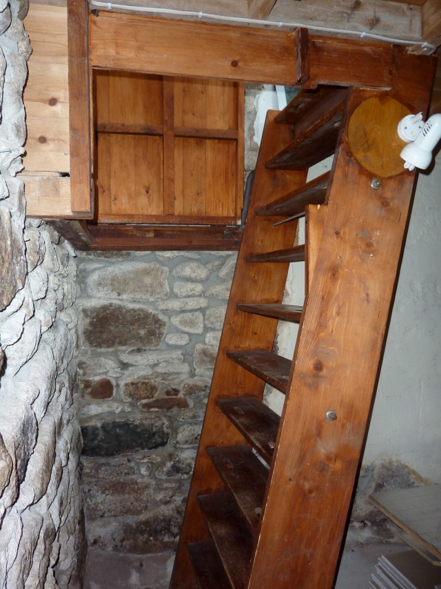 The "stairs" (many would call this a ladder) before we started this project.